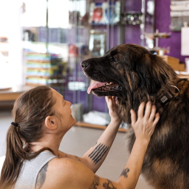"Man kann ohne Hunde leben, es lohnt sich nur nicht!" 💜

Wir wünschen euch einen entspannten Donnerstag Nachmittag! 😍

#moooiteam #hundeliebe #hundesachen #doggroominglife #doggroomingsalon #doglover #doglove #hundeliebegrenzenlos #lovedogs #quoteoftheday #hundesalon #hundefriseur #pfoten #hundefriseurin #hundefuriseursalon #dogwelcome